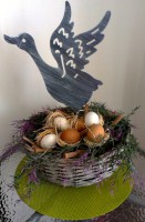 /album/fotogaleria-mark/imag4205-jpg/